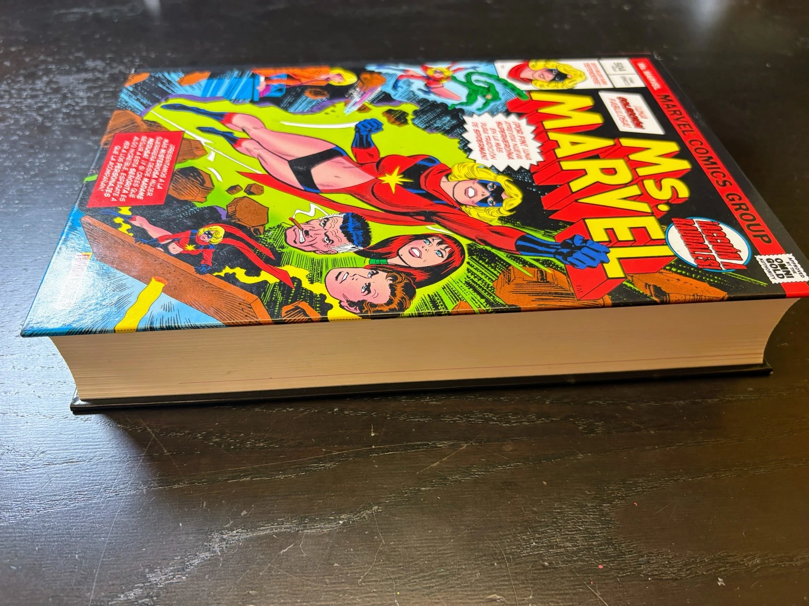 Ms. Marvel Marvel Limited Edition Panini | Single Volume | Hardcover | Very Good Condition – photo 7